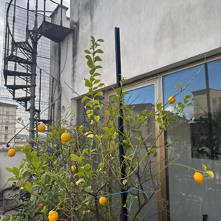 Girasole House-2