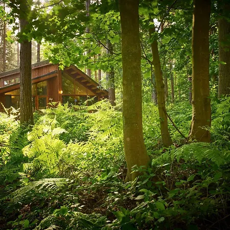 Blackwood Forest Cabins - Forest Holidays-3
