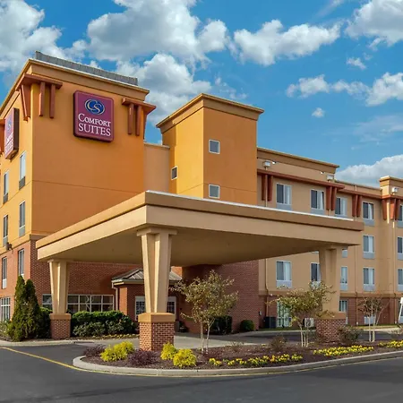 Comfort Suites Seaford-2
