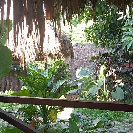 ECOCABAÑAS DIOSA JAGUAR tayrona-2