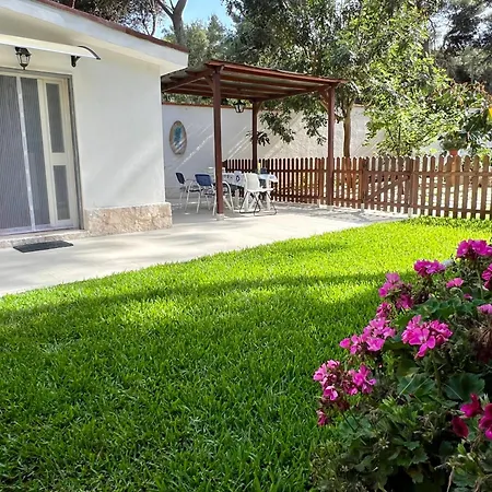 Bungalow Fatamorgana-3
