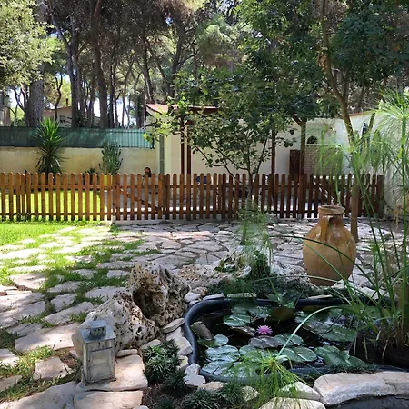 Bungalow Fatamorgana-2