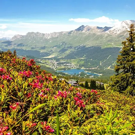 Hotel Lenzerhorn - Alpine Stay, Spa&Savour-3