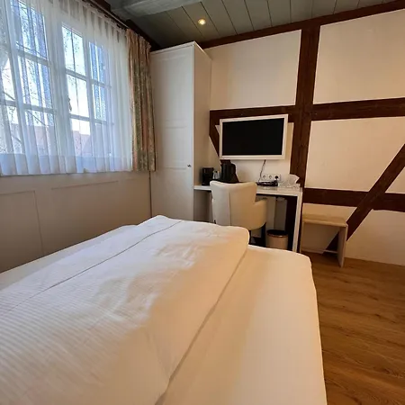 Boutique Hotel am Rathaus - Reblaus-2