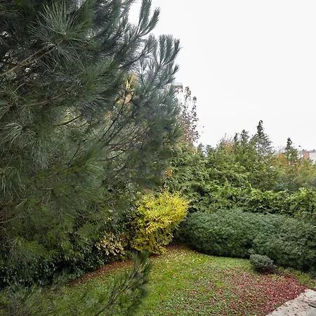 B&B Hôtel EVRY-LISSES (2)-2