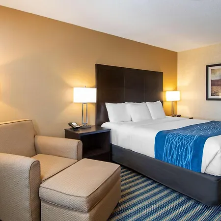 Comfort Inn St Thomas-3