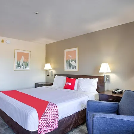 Oyo Woodland Hotel And Suites-3