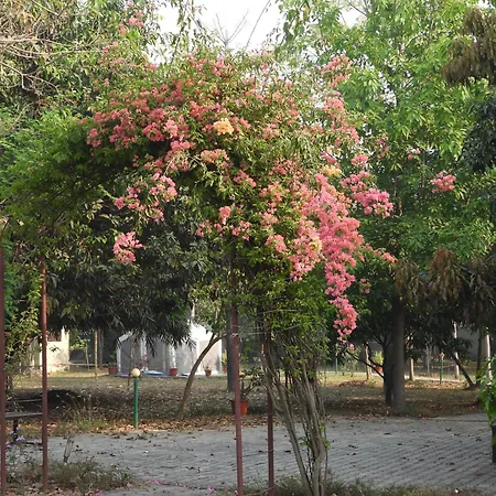 Lumbini Buddha Garden Resort-2