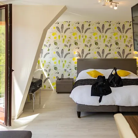 Logis Hotel Des Vosges-2