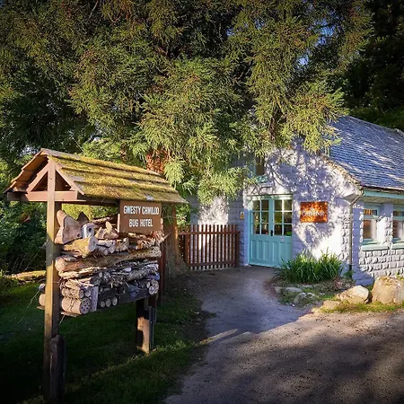 Beddgelert Cabins, Snowdonia - Forest Holidays-2