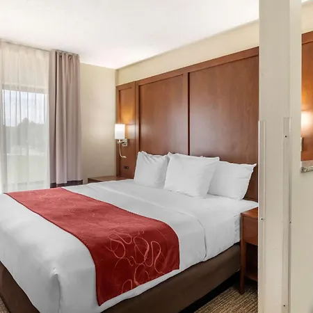 Comfort Suites Speedway - Kansas City-3