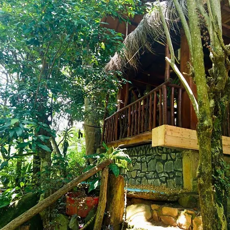Jungle Face Inn-3