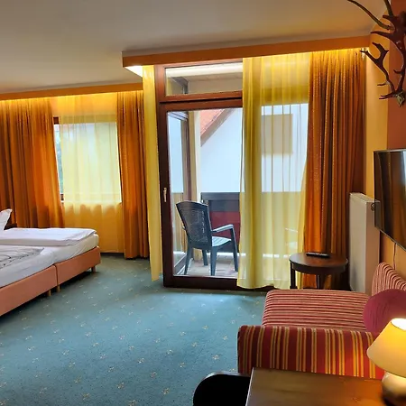 Hotel Hirsch-2