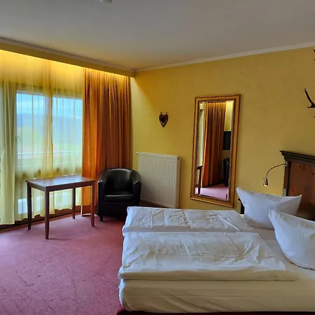 Hotel Hirsch-3
