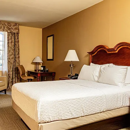 Hampton Inn Charleston-Historic District-3