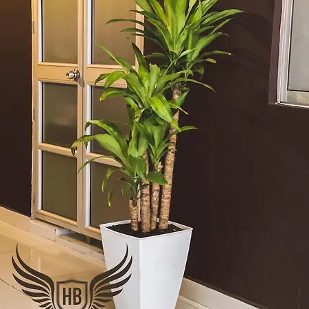 Hotel Bawer-3