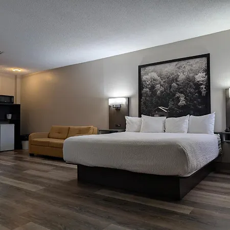 Super 8 By Wyndham Thunder Bay-2