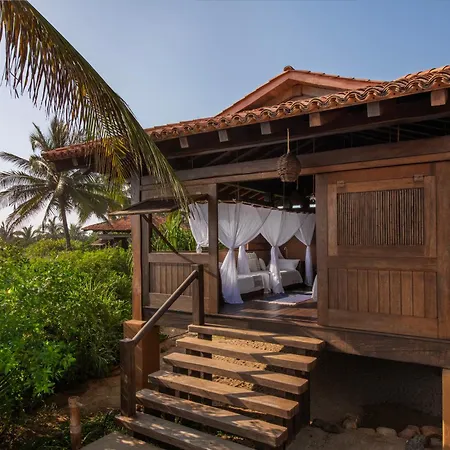 Playa Viva-3