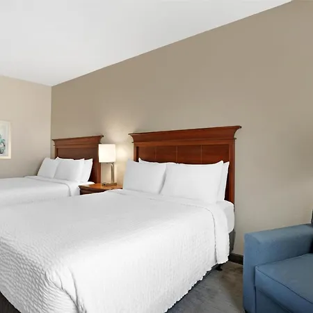 Best Western Plus Executive Hotel & Suites-3