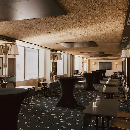 Maison Heler Metz, Curio Collection By Hilton-3