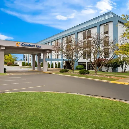 Comfort Inn Cadillac-2