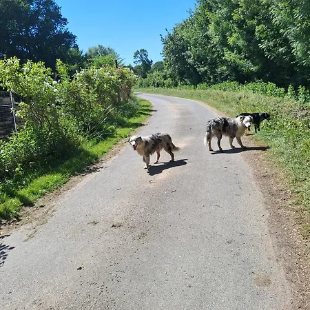 Le Mouton-2