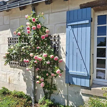 Le Mouton-3