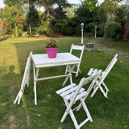 La cabane au fond du jardin-2