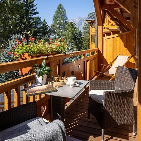 Chalet Mounier-2