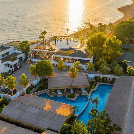 Flora Garden Beach Hotel - Adults Only 16 Plus - Couples Concept-2