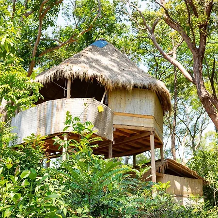 Kactus - Your Island Sanctuary-2