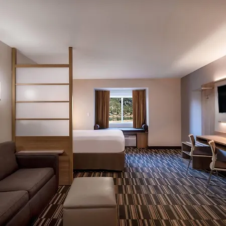 Microtel Inn & Suites By Wyndham Georgetown Lake-3