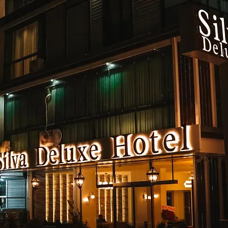 Silva Deluxe Hotel-3
