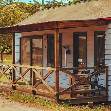 Bimbi Park - Camping Under Koalas-3