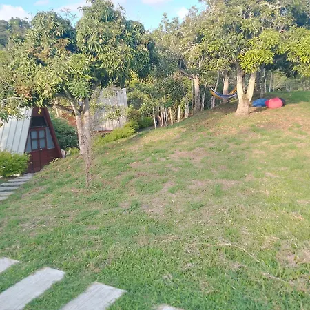 Natural Glamping Fusagasuga-3