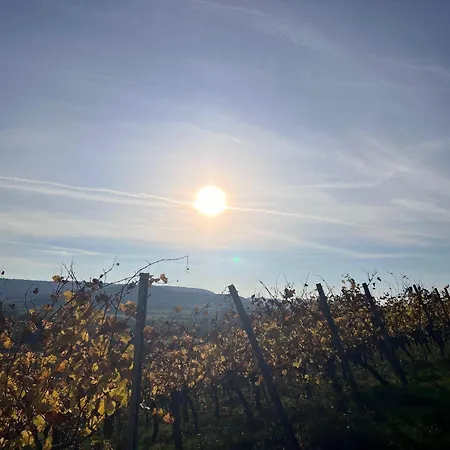 Alte Rose Gasthaus-3