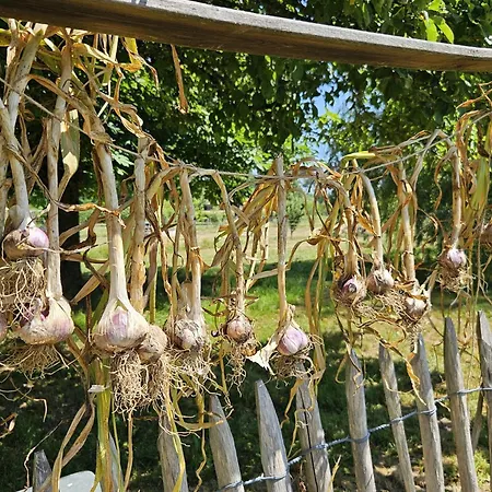 B&B La Taupinière Rustique table d'hôtes gastronomique-3