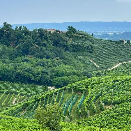 B&B Terre Di Bea-2
