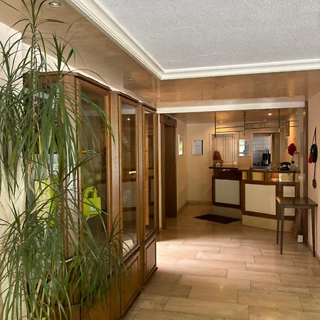 Hotel zum Wasserfall Garni-2