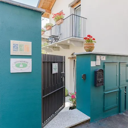 Il riccio di Ricciano-3