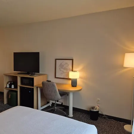 Spark By Hilton Lancaster-3