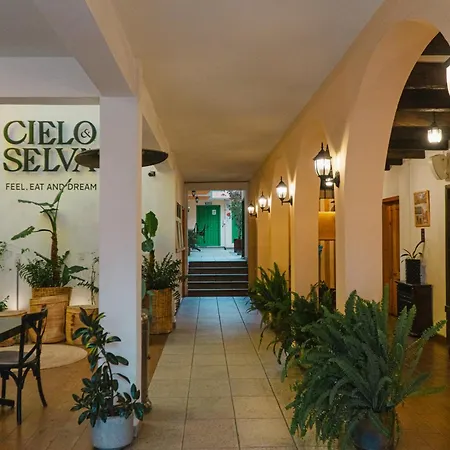 Hotel Cielo Y Selva, San Cristobal De Las Casas-2