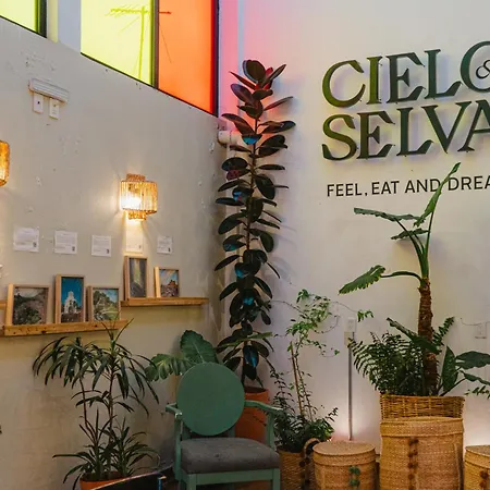 Hotel Cielo Y Selva, San Cristobal De Las Casas-3