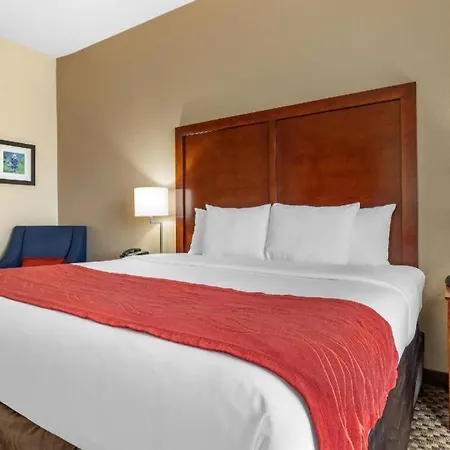 Comfort Inn & Suites Navasota-3
