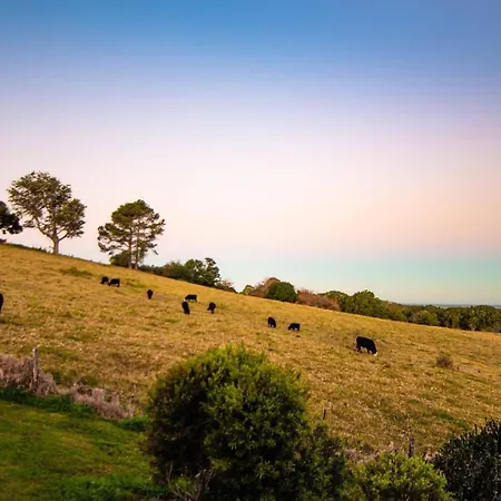 Alstonville Country Cottages-3