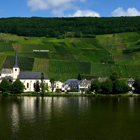 Weingut Später-Veit-3