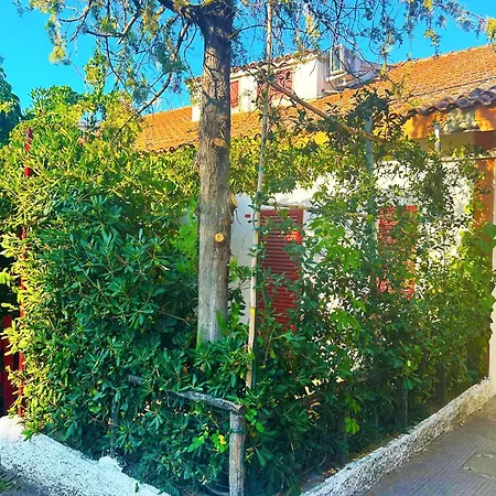 Case Vacanze a Rossano-2