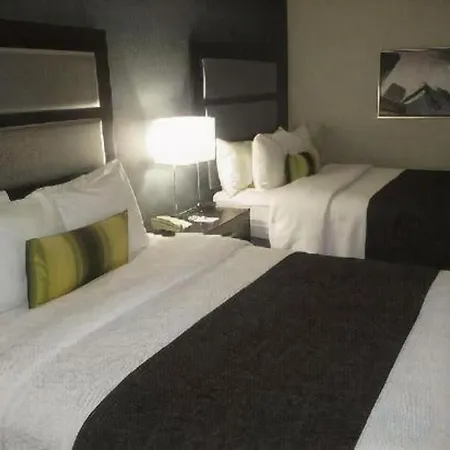 Best Western Plus Indianapolis Nw Hotel-2