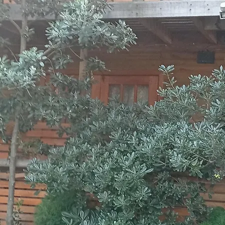 La Maison Des Fous-3