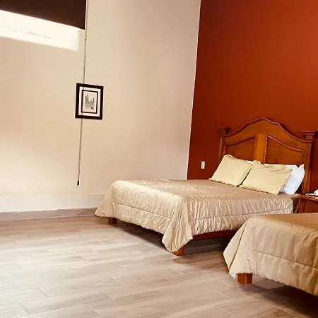Hotel Plaza Vasco-2